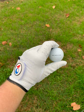 Load image into Gallery viewer, Occasional Birdie Golf Gloves, for the Left Hand
